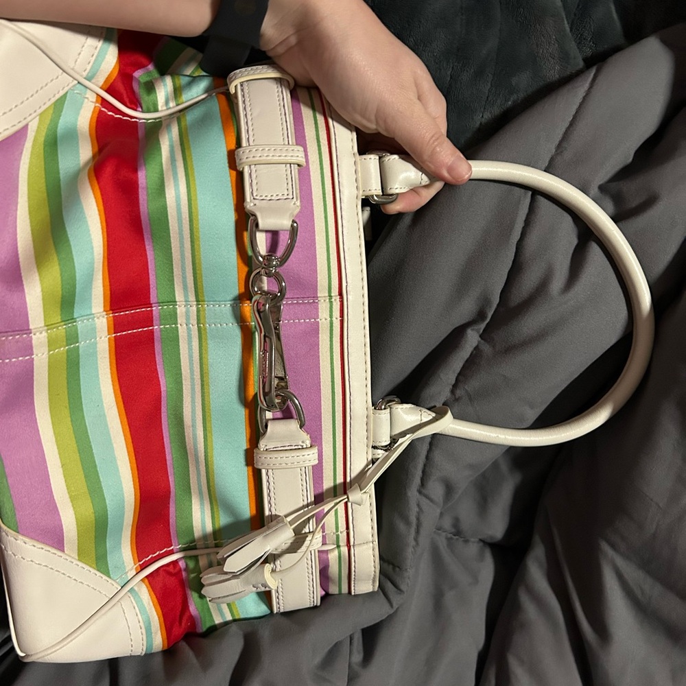Coach Multicolor Striped Hobo Bag